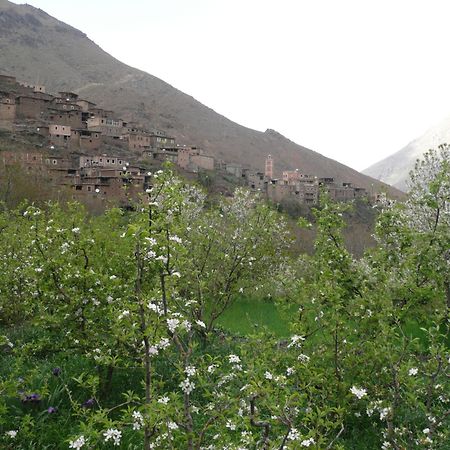 Gîte Atlas Mazik Imlil  Extérieur photo