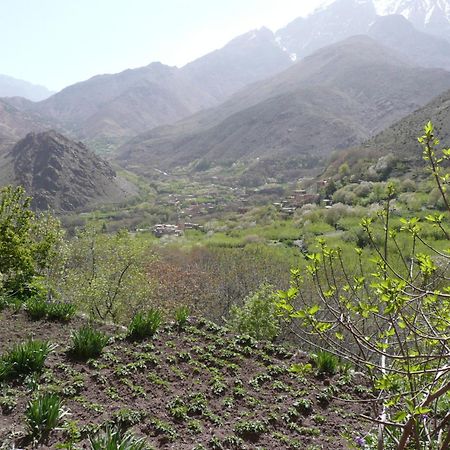 Gîte Atlas Mazik Imlil  Extérieur photo