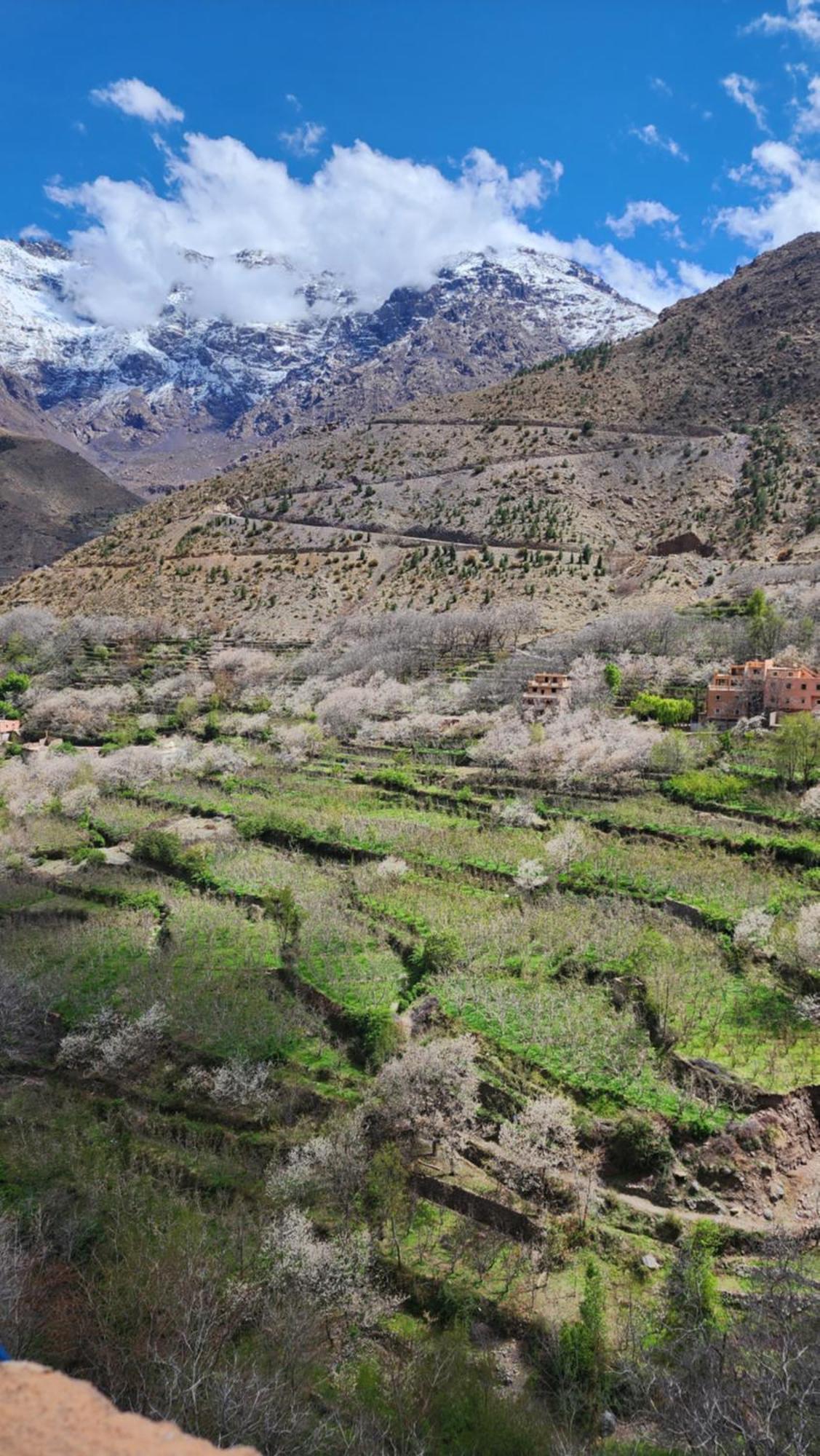 Gîte Atlas Mazik Imlil  Extérieur photo