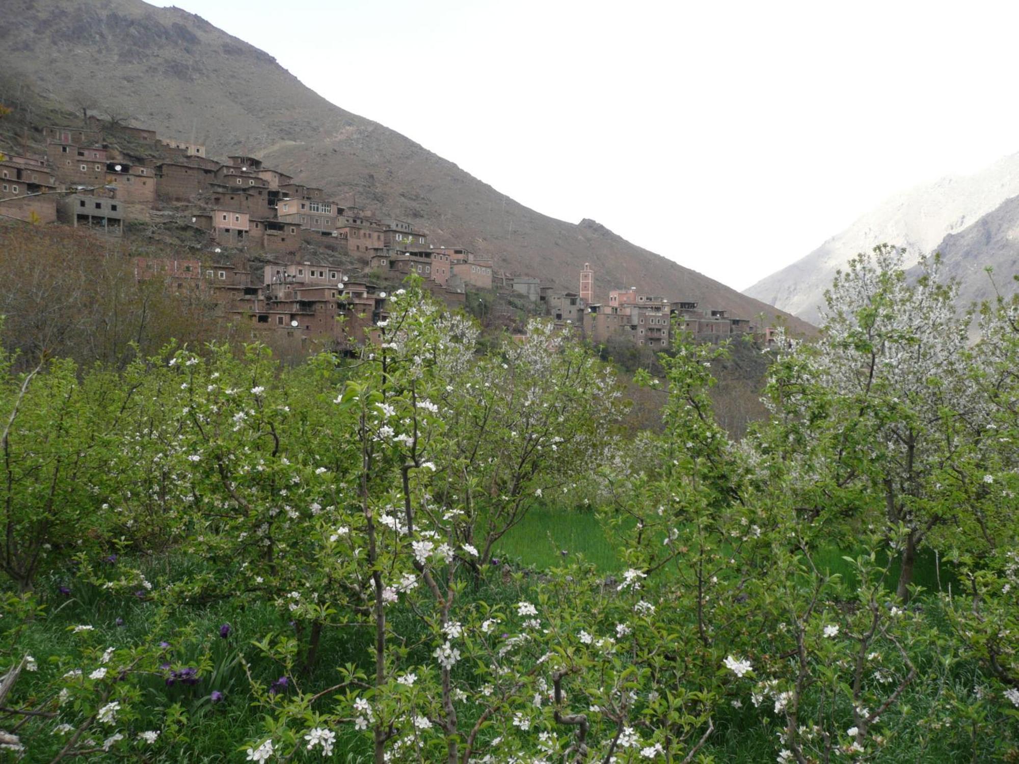 Gîte Atlas Mazik Imlil  Extérieur photo