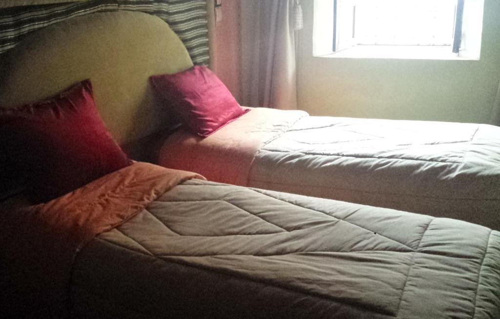 Gîte Atlas Mazik Imlil  Chambre photo